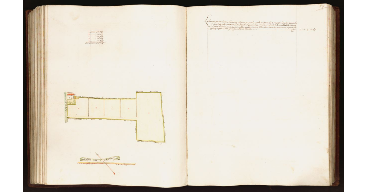 [Pianta di una partita di terra nel comune di Campiglio]