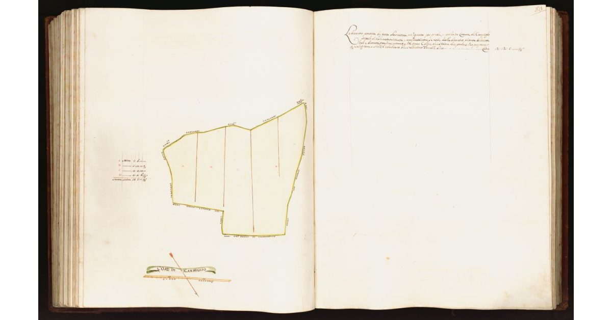 [Pianta di una partita di terra situata nel comune di Campiglio]