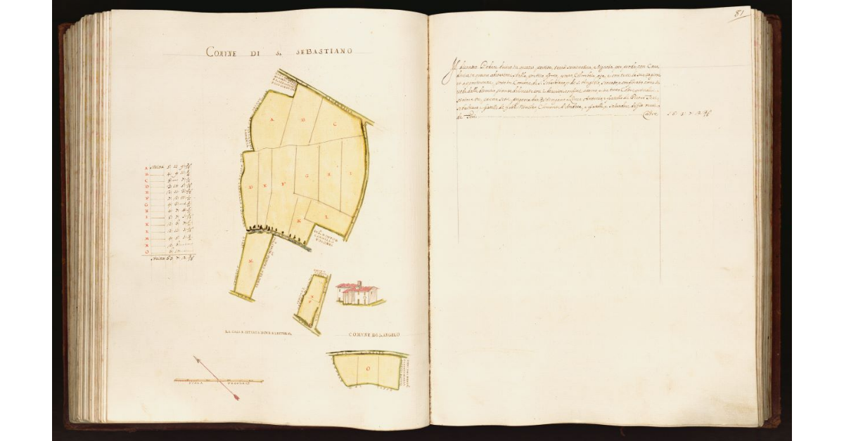 [Pianta di un podere situato nei comuni di S. Sebastiano e S. Angelo]