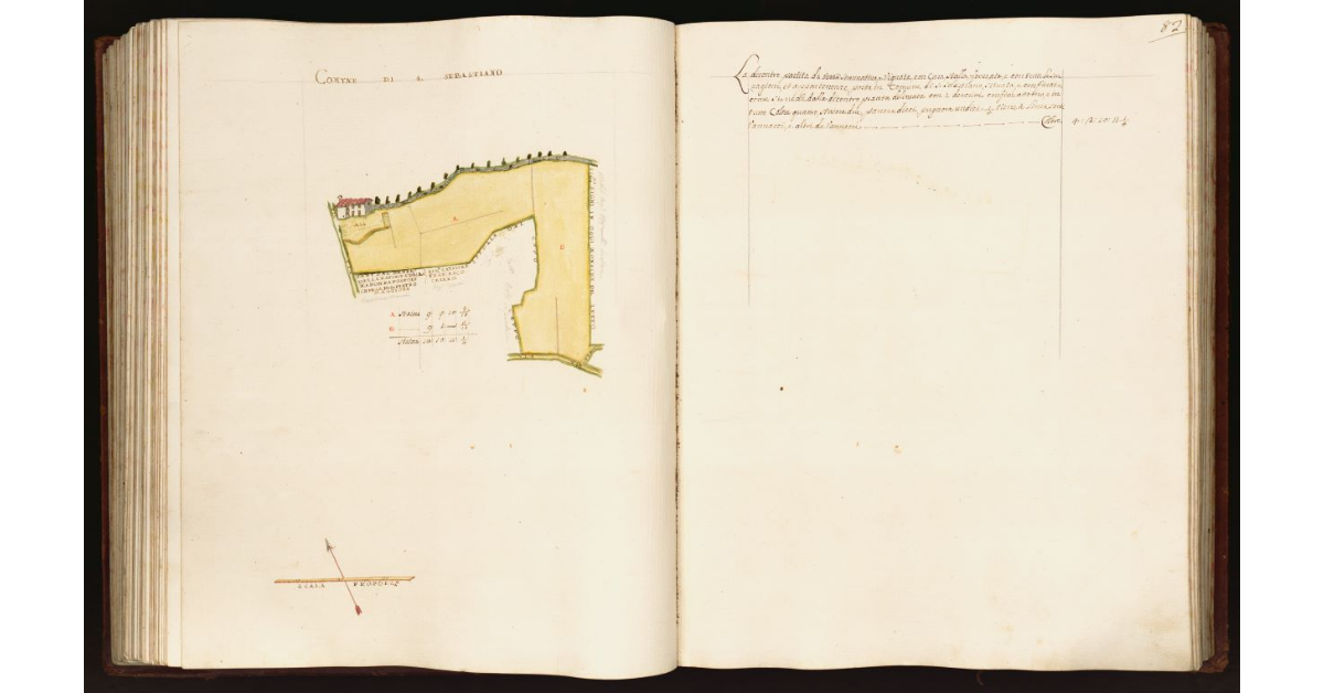 [Pianta di una partita di terra situata nel comune di S. Sebastiano]