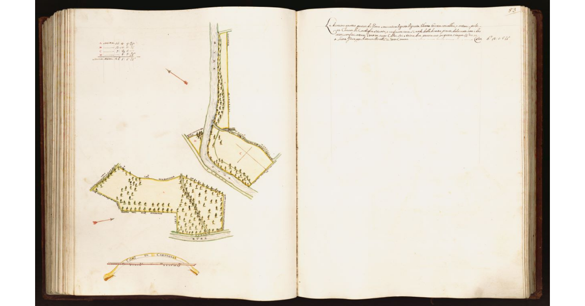 [Pianta di due partite di terra poste nel comune di Candeglia]