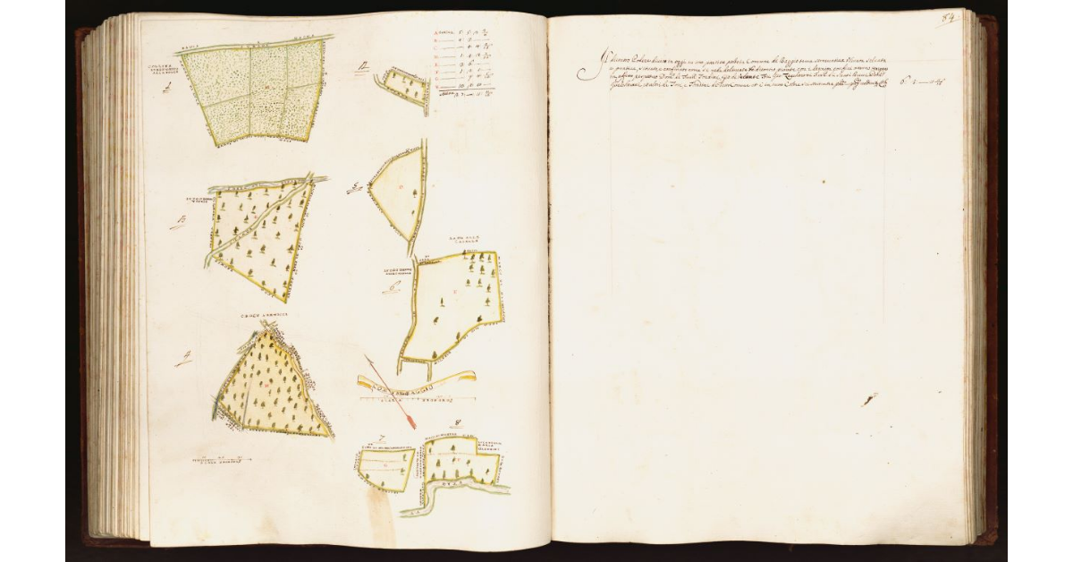 [Pianta di un podere situato nel comune di Baggio]