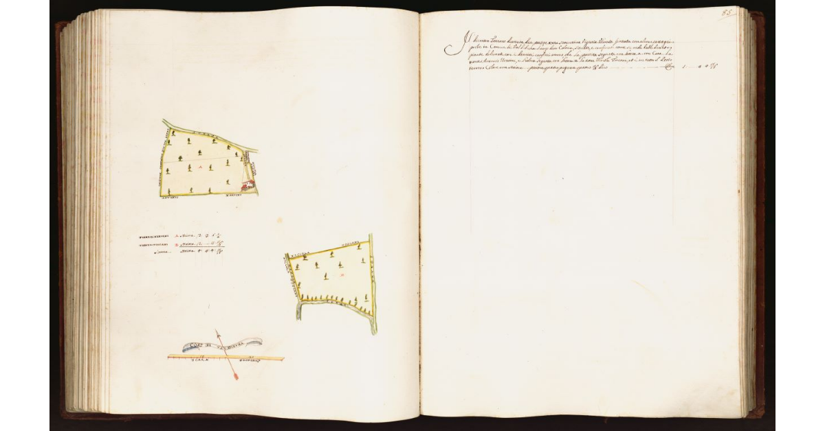 [Pianta di due porzioni di terra poste nel comune di Valdibura]