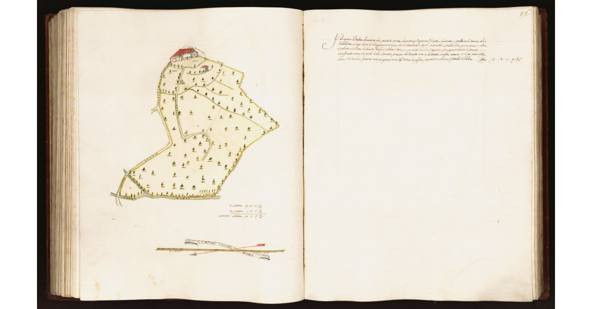 [Pianta di un podere situato nel comune di Valdibura]