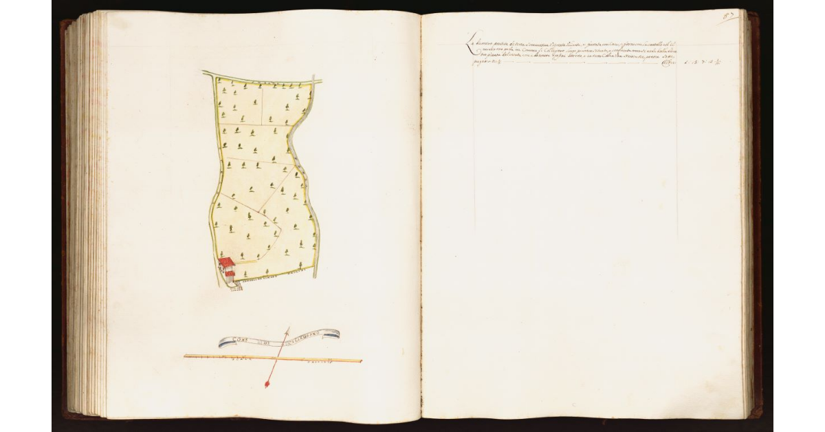 [Pianta di una partita di terra situata nel comune di Ciliegiano]