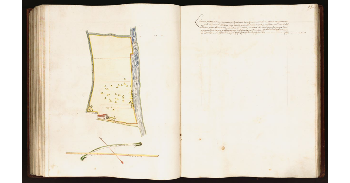 [Pianta di una partita di terra situata nel comune di Valdibura]