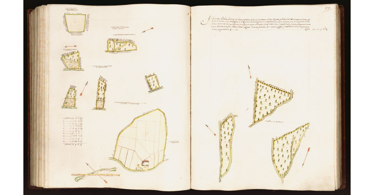 [Pianta di un podere situato nei comuni di Candeglia, di S. Quirico e di Ciliegiano e S. Moro]