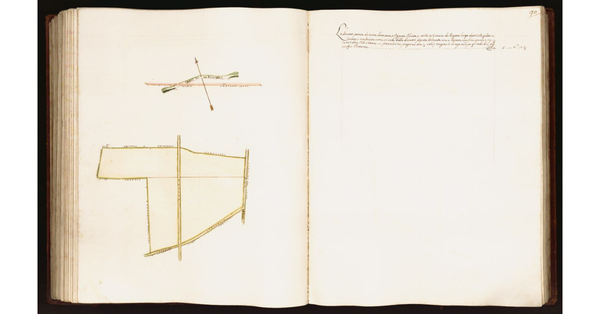 [Pianta di una partita di terra posta nel comune di Bigiano]
