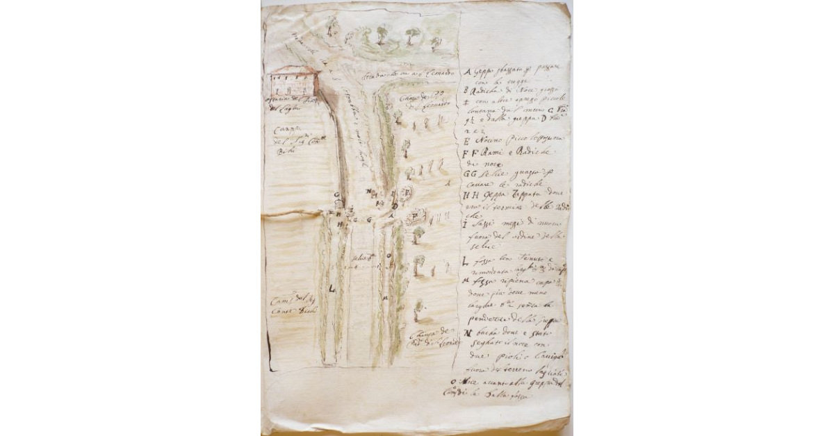 [Taglio di un noce nella pubblica strada che porta a Santa Colomba]