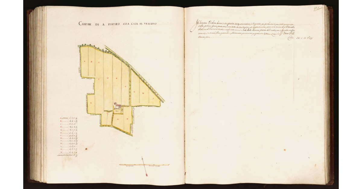 [Pianta di un podere situato nel comune di S. Pietro alla Casa al Vescovo]