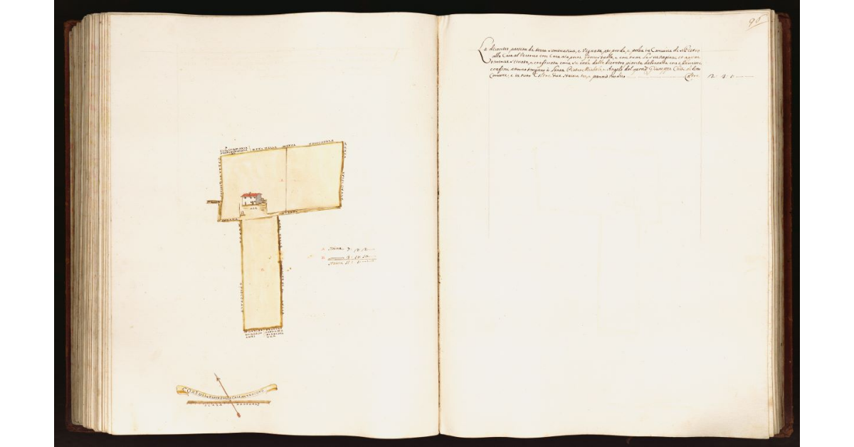 [Pianta di una partita di terra situata nel comune di S. Pietro alla Casa al Vescovo]