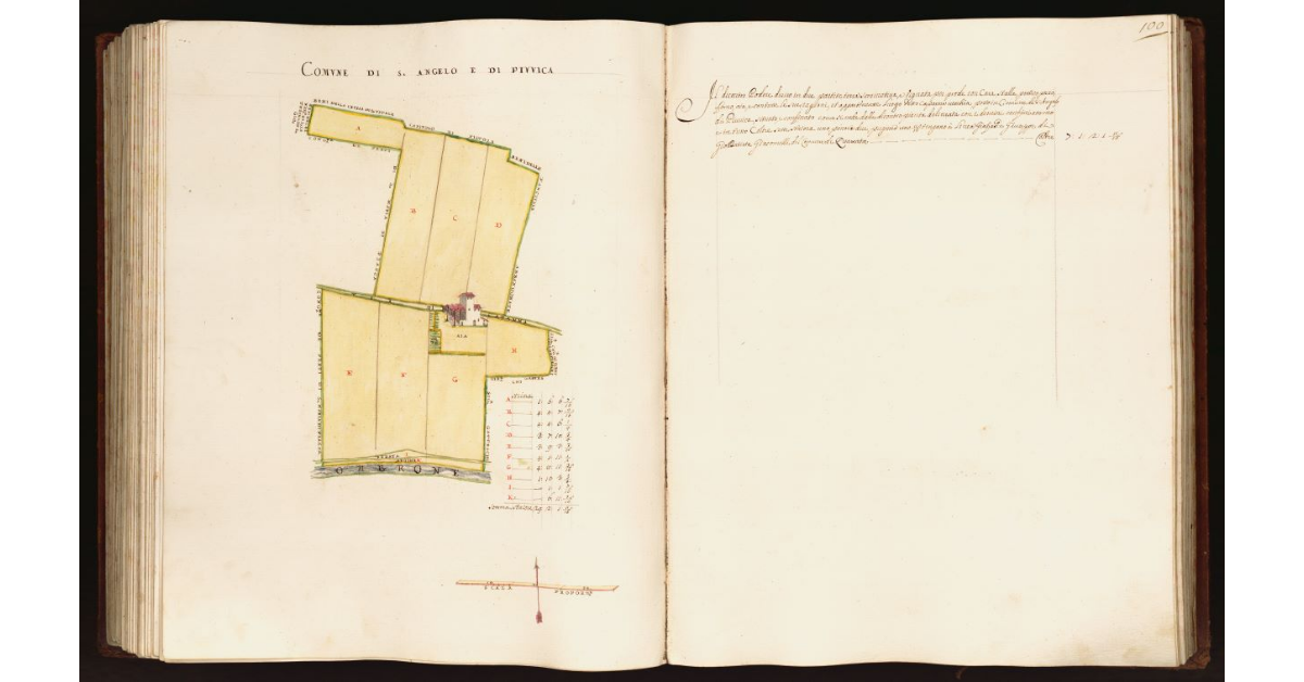 [Pianta di un podere situato nel comune di S. Angelo di Piuvica]