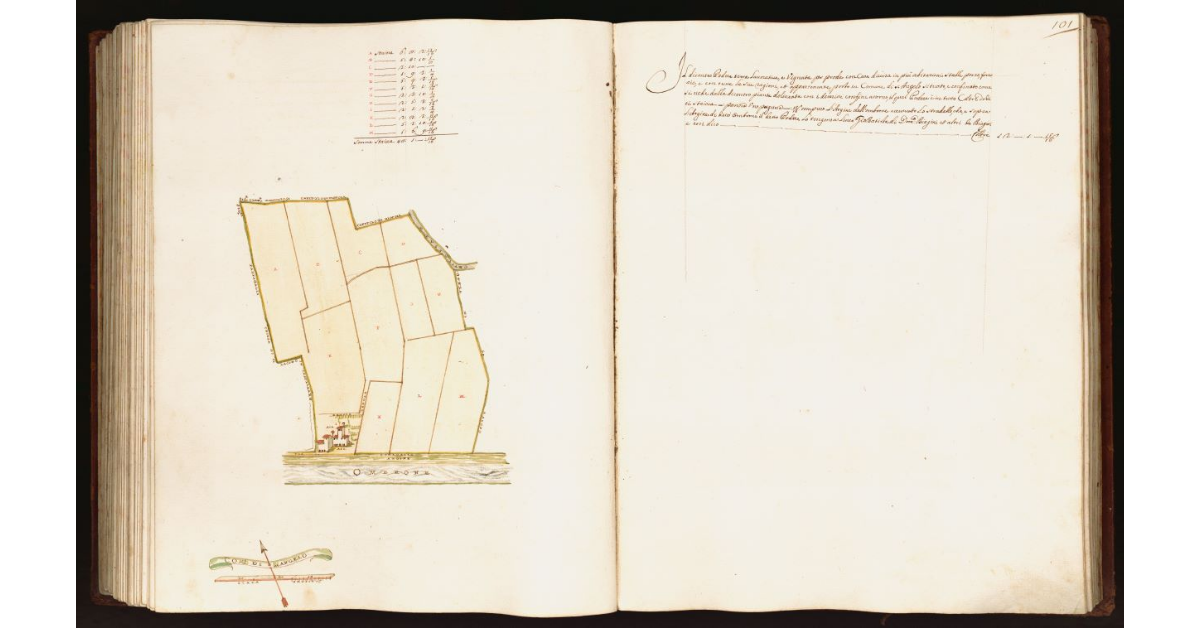 [Pianta di un podere situato nel comune di S. Angelo]