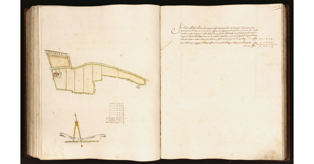 [Pianta di un podere situato nel comune di S. Angelo]