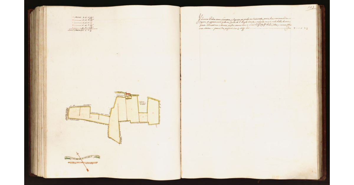 [Pianta di un podere situato nel comune di S. Angelo]