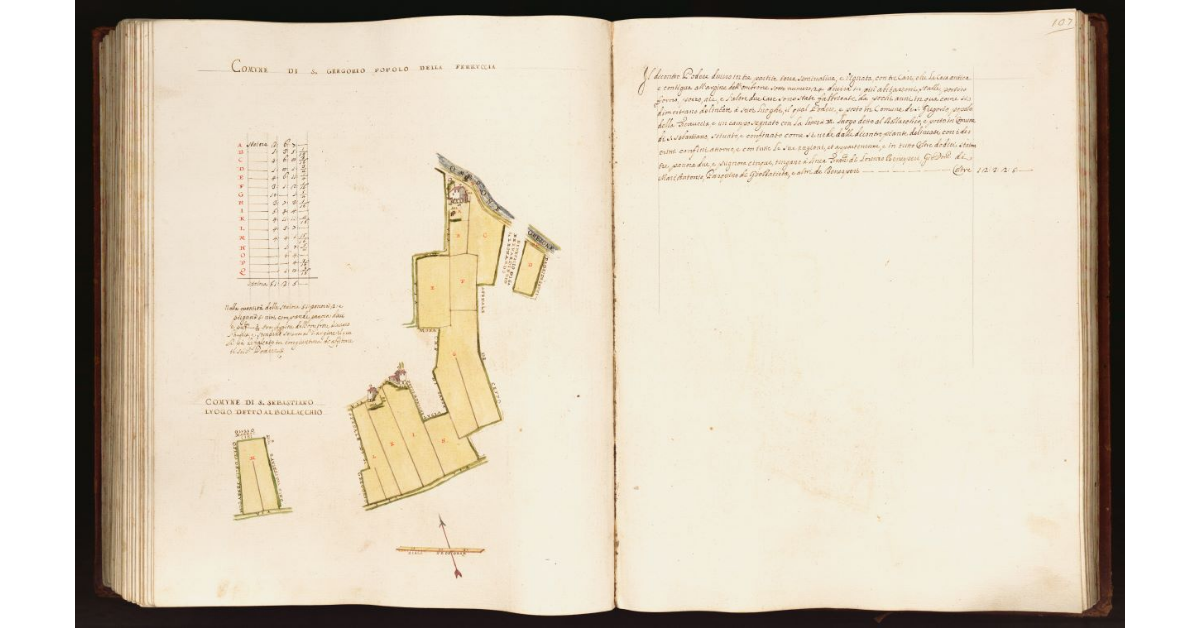 [Pianta di un podere situato nei comuni di S. Gregorio e S. Sebatiano]