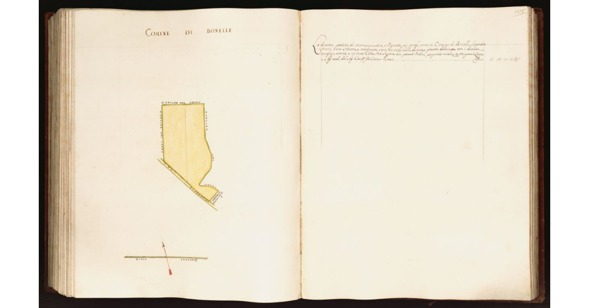 [Pianta di una partita di terra situata nel comune di Bonelle]