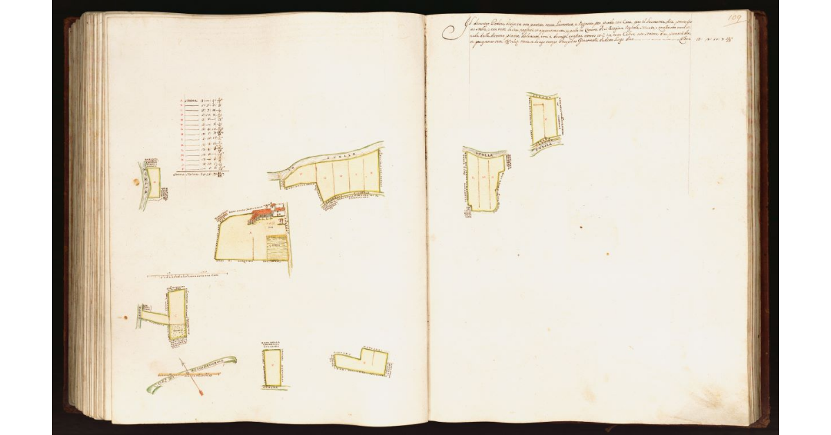 [Pianta di un un podere situato nel comune di S. Biagio a Vignole]