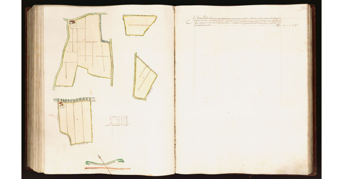 [Pianta di un podere situato nel comune di S. Biagio a Vignole]