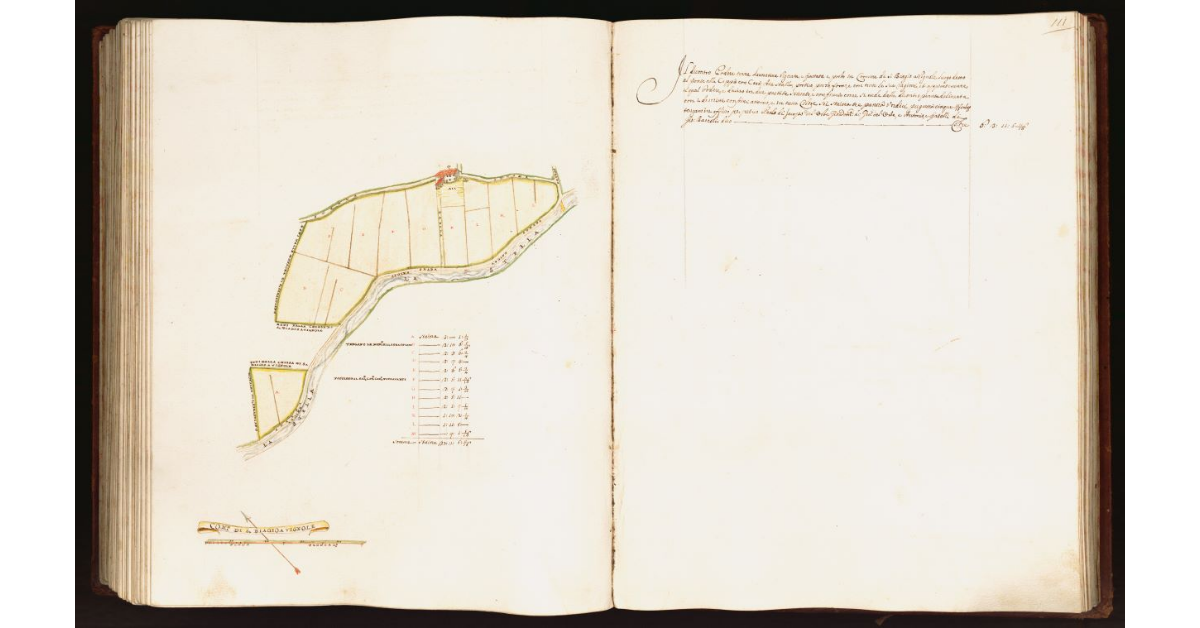 [Pianta di un podere situato nel comune di S. Biagio a Vignole]