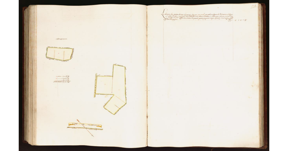 [Pianta di due partite di terra situate nei comuni di Valenzatico e di Quarrata]