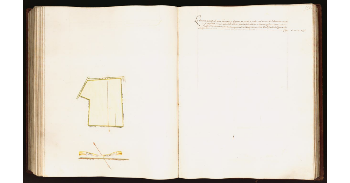 [Pianta di una partita di terra situata nel comune di Valenzatico]