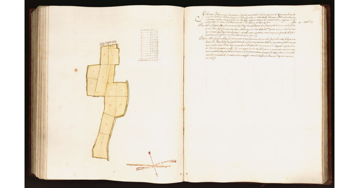 [Pianta di un podere situato nel comune di Quarrata]