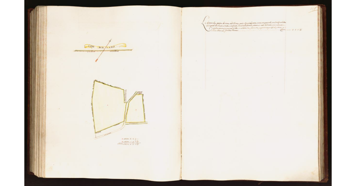 [Pianta di due partite di terra situate nel comune di Buriano]