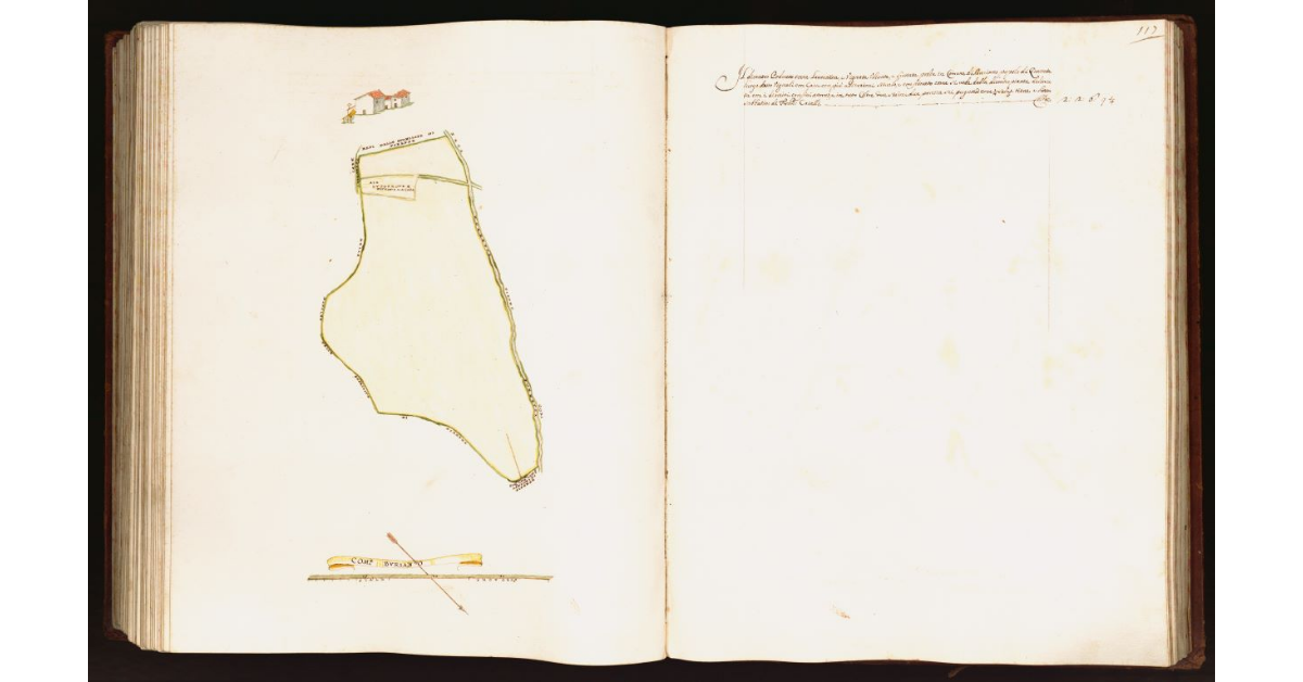 [Pianta di un piccolo podere situato nel comune di Buriano]