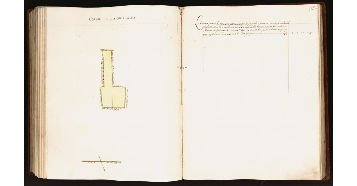 [Pianta di una partita di terra situata nel comune di S. Michele Agliana]