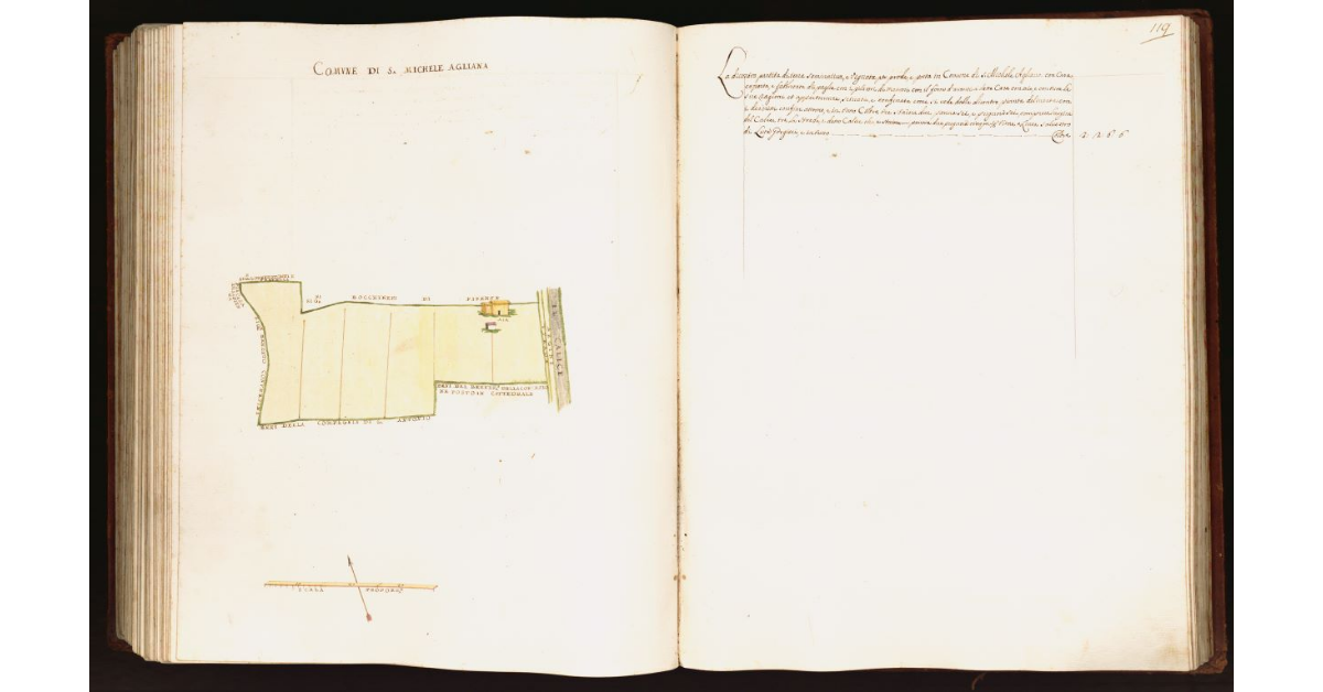 [Pianta di una partita di terra posta nel comune di S. Michele Agliana]
