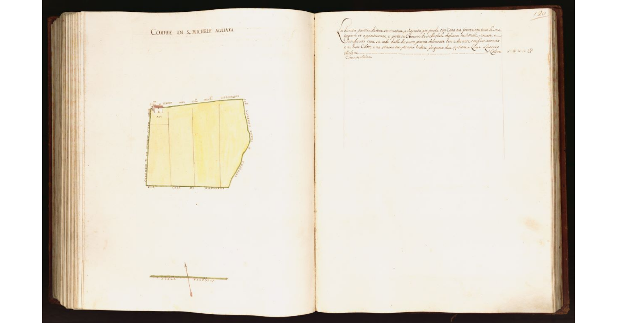 [Pianta di una partita di terra situata nel comune di S. Michele Agliana]