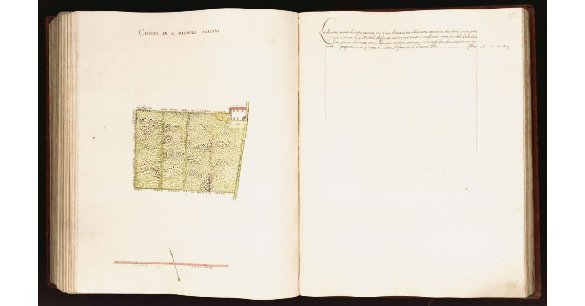 [Pianta di una partita di terra prativa situata nel comune di S. Michele Agliana]