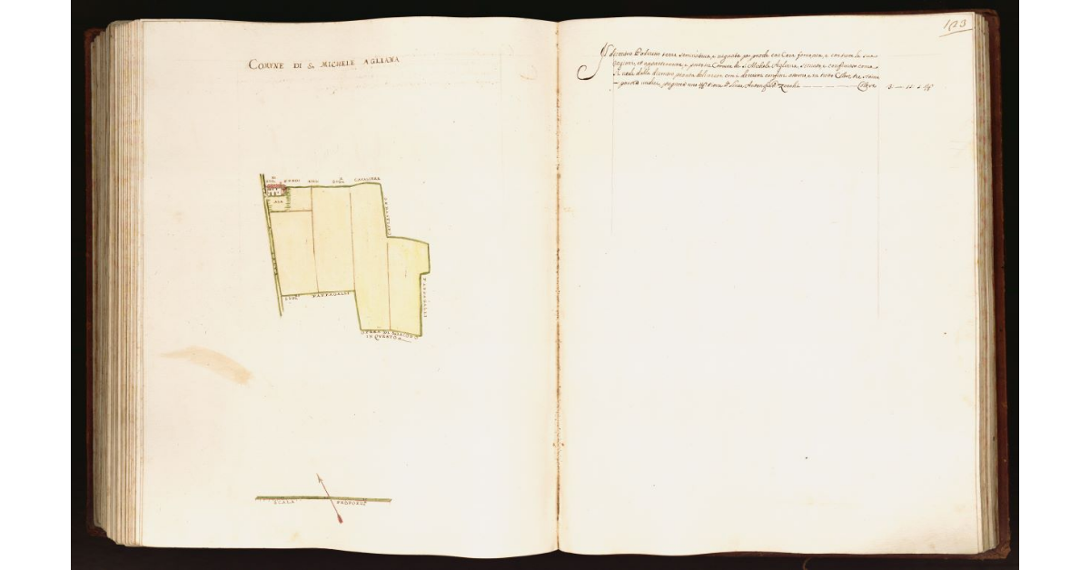 [Pianta di una partita di terra posta lungo la via a Selva nel comune di S. Michele Agliana]