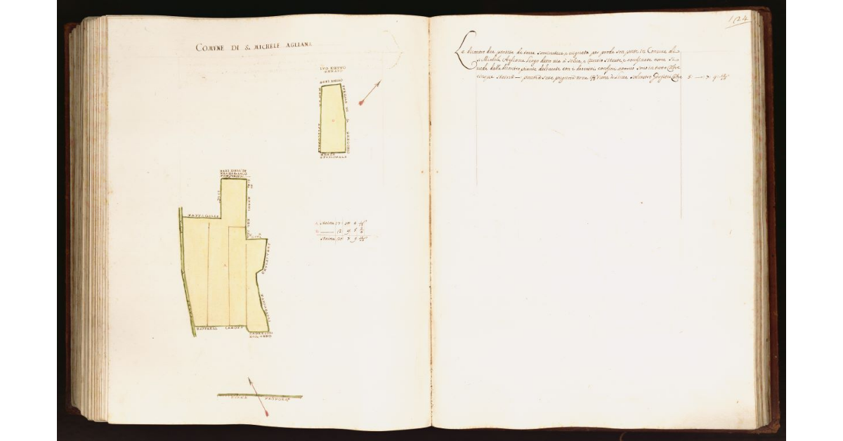 [Pianta di due partite di terra situate nel comune S. Michele Agliana]