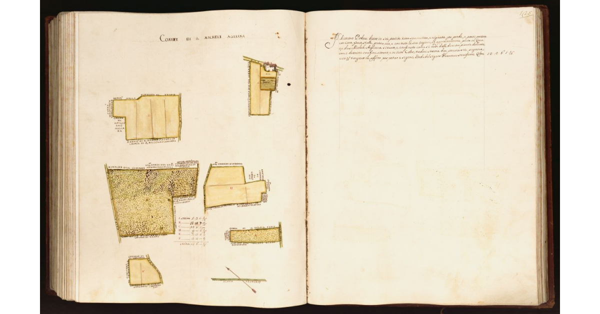 [Pianta di un podere situato nel comune di S. Michele Agliana]