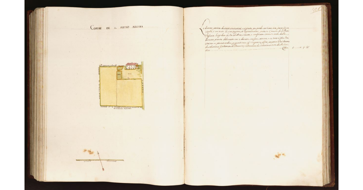 [Pianta di una partita di terra posta nel comune di S. Pietro Agliana]