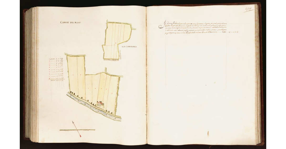 [Panta di un podere posto nel comune del Moso]