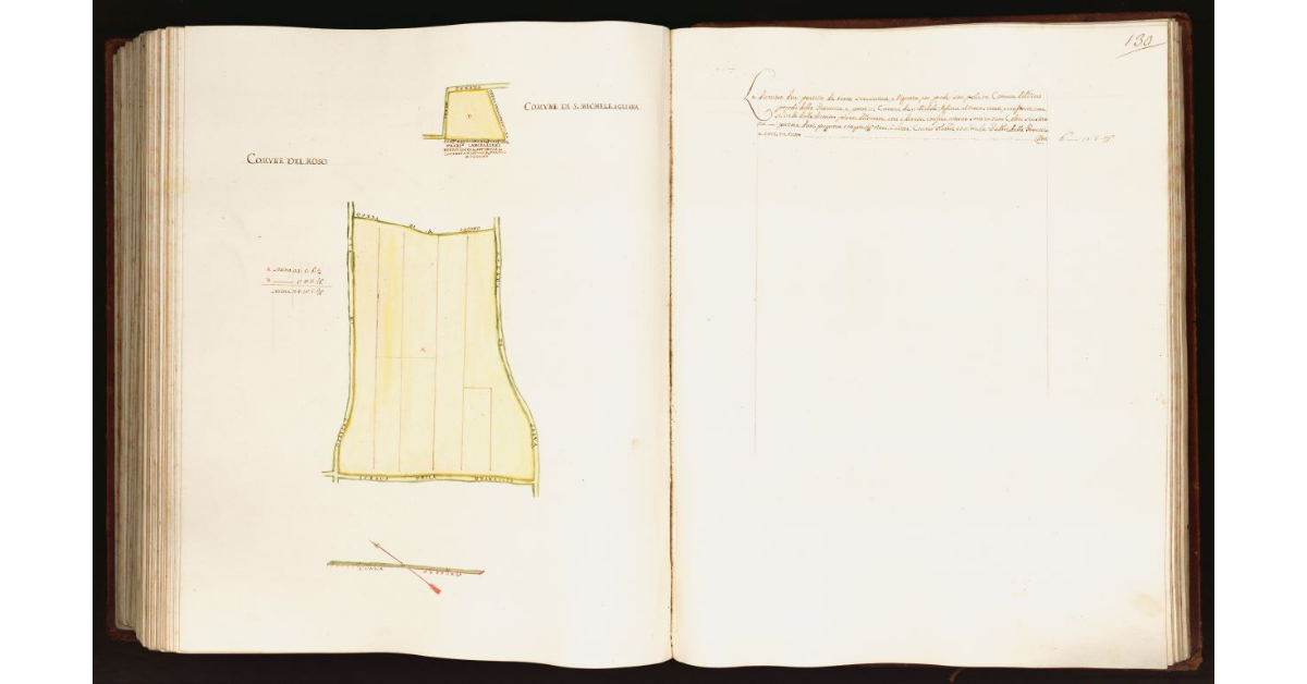 [Pianta di due partite di terra situate nei comuni del Moso e di S. Michele Agliana]
