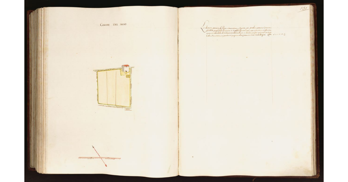 [Pianta di una partita di terra situata nel comune del Moso]