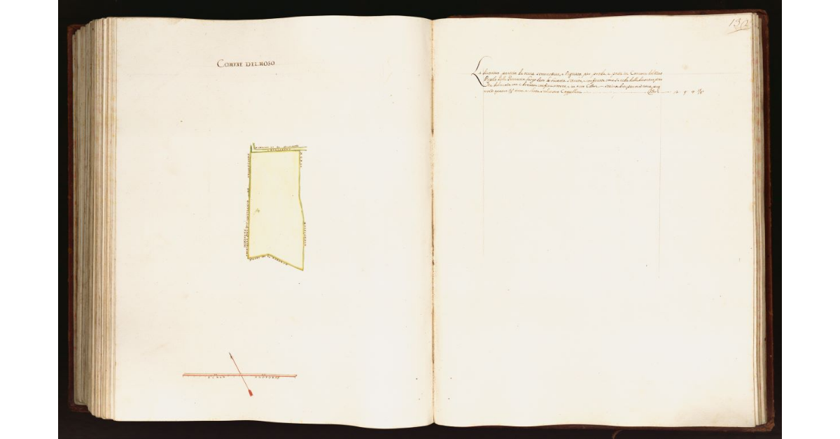 [Pianta di una partita di terra situata nel comune del Moso]
