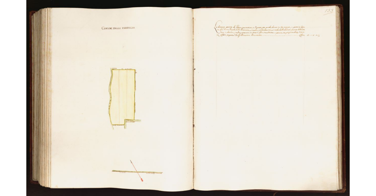 [Pianta di una partita di terra situata nel comune del Moso]