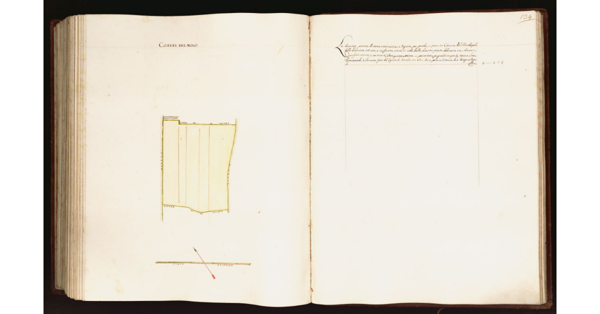 [Pianta di una partita di terra situata nel comune del Moso]