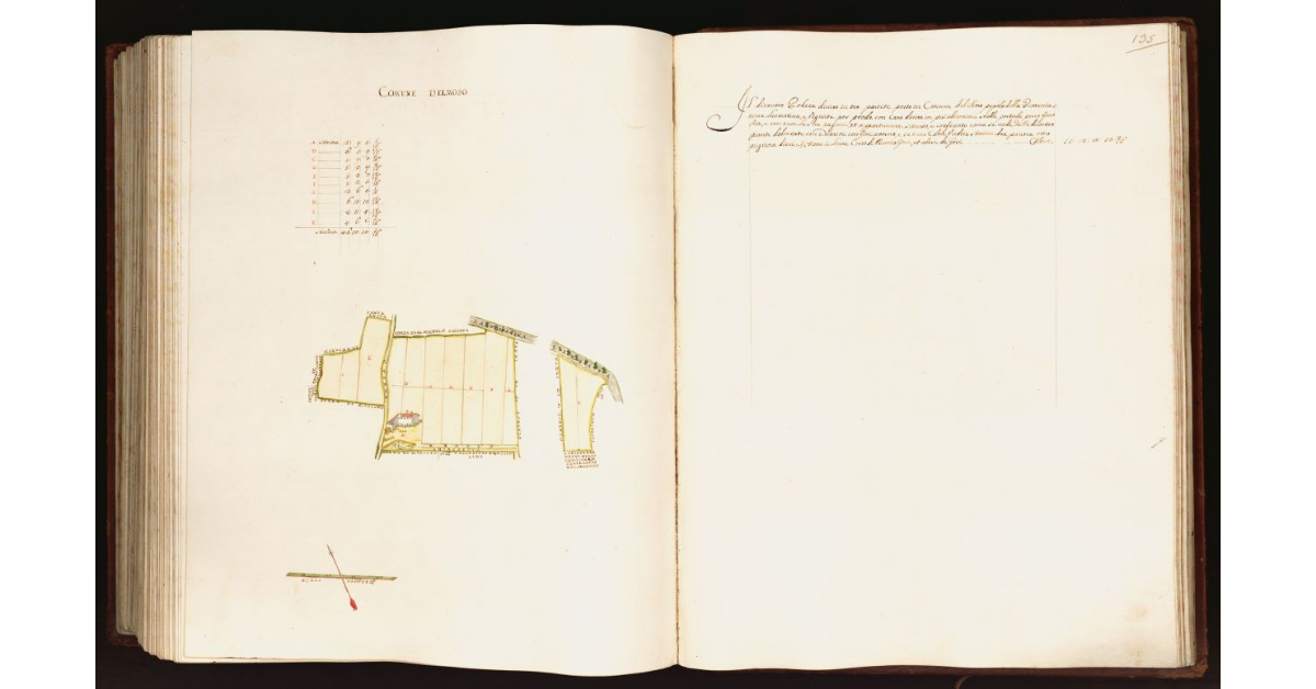 [Pianta di un un podere posto nel comune del Moso]