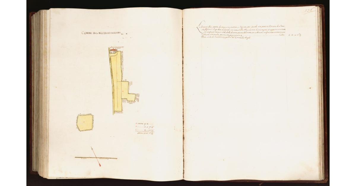 [Pianta di due partite di terra situate nel comune di S. Niccolao Agliana]