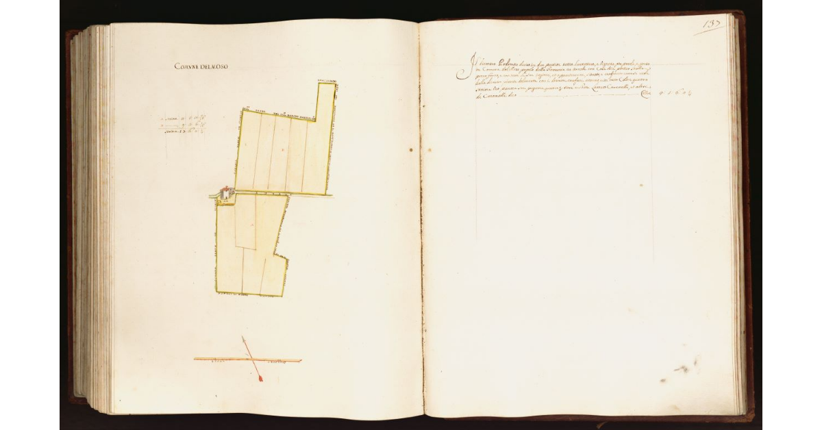 [Pianta di un un piccolo podere situato nel comune del Moso]