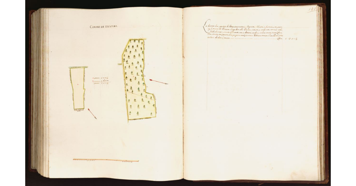[Pianta di due partite di terra situate nel comune di Tizzana]