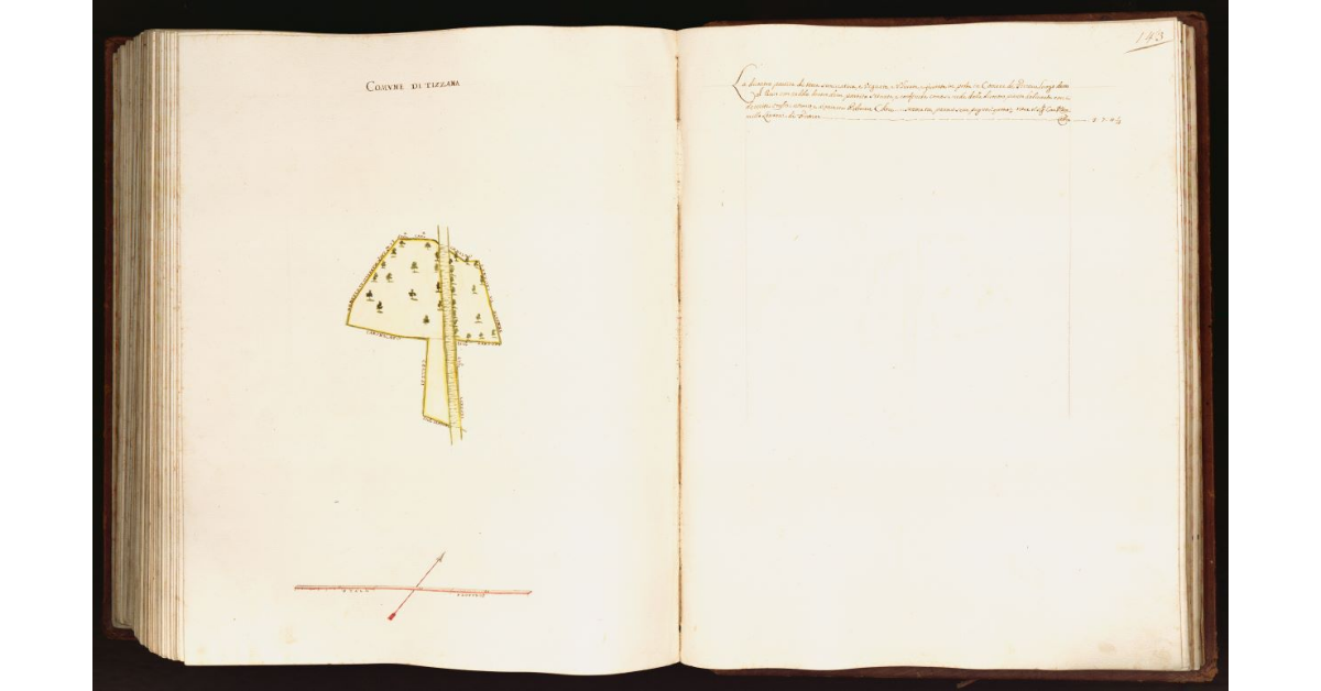 [Pianta di una partita di terra situata nel comune di Tizzana]