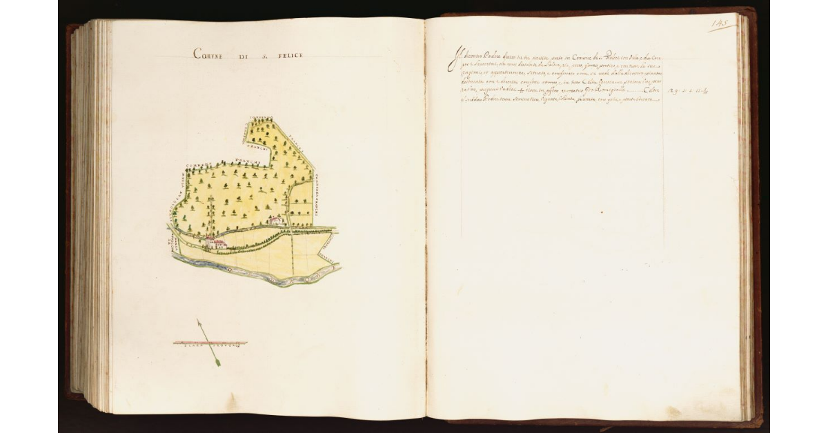 [Pianta di un podere situato nel comune di S. Felice]