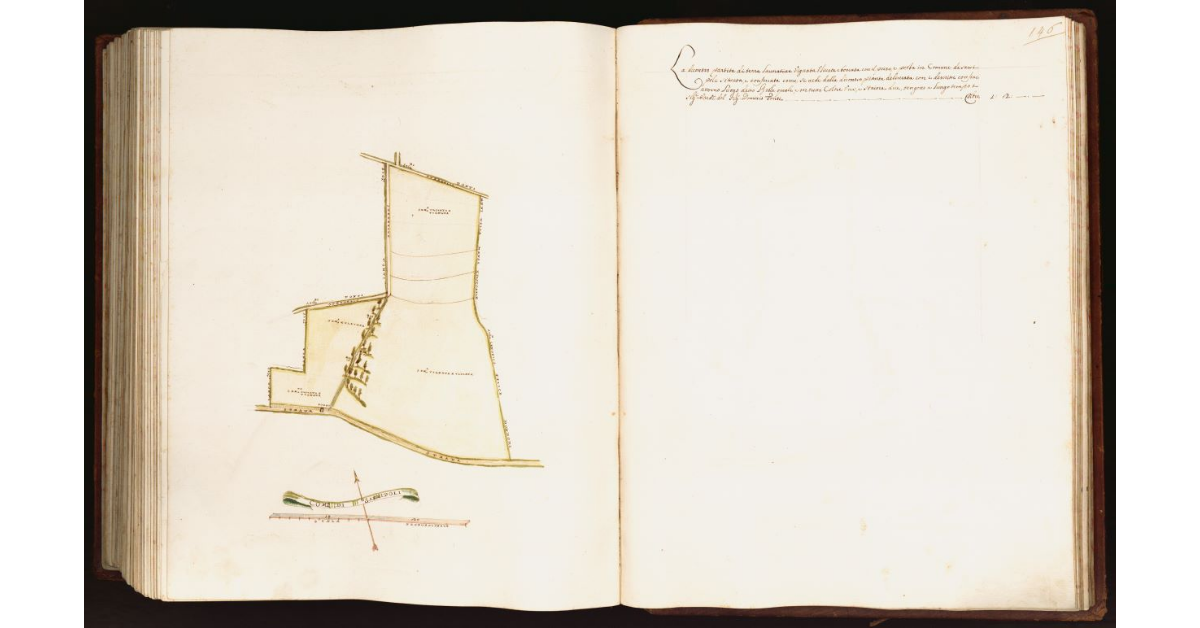 [Pianta di una partita di terra situata nel comune di Sarripoli]